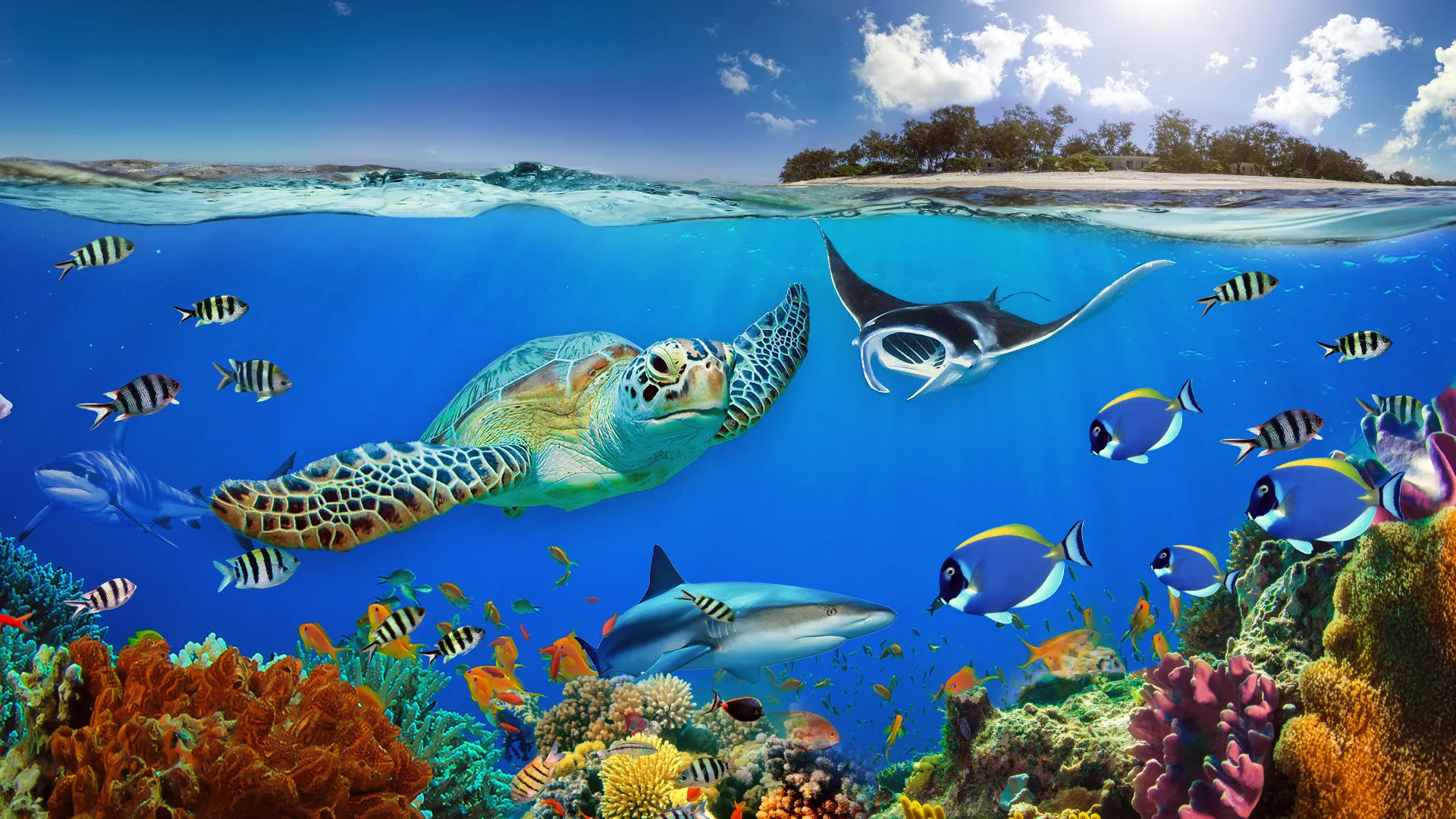 Great Barrier Reef