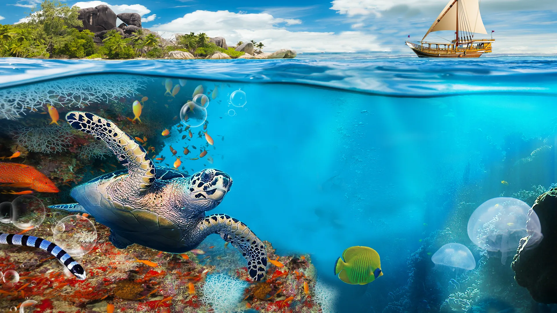 Magical Reef: The Islands of the Four Kings