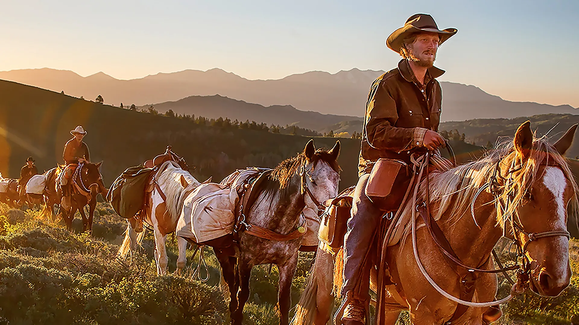 Unbranded
