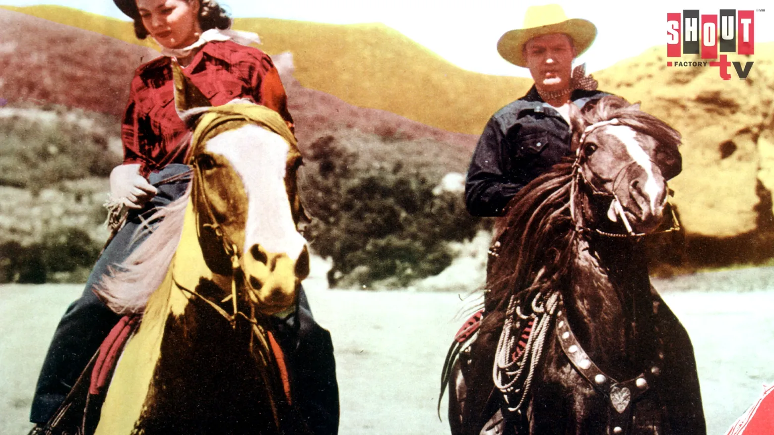 Sons Of New Mexico