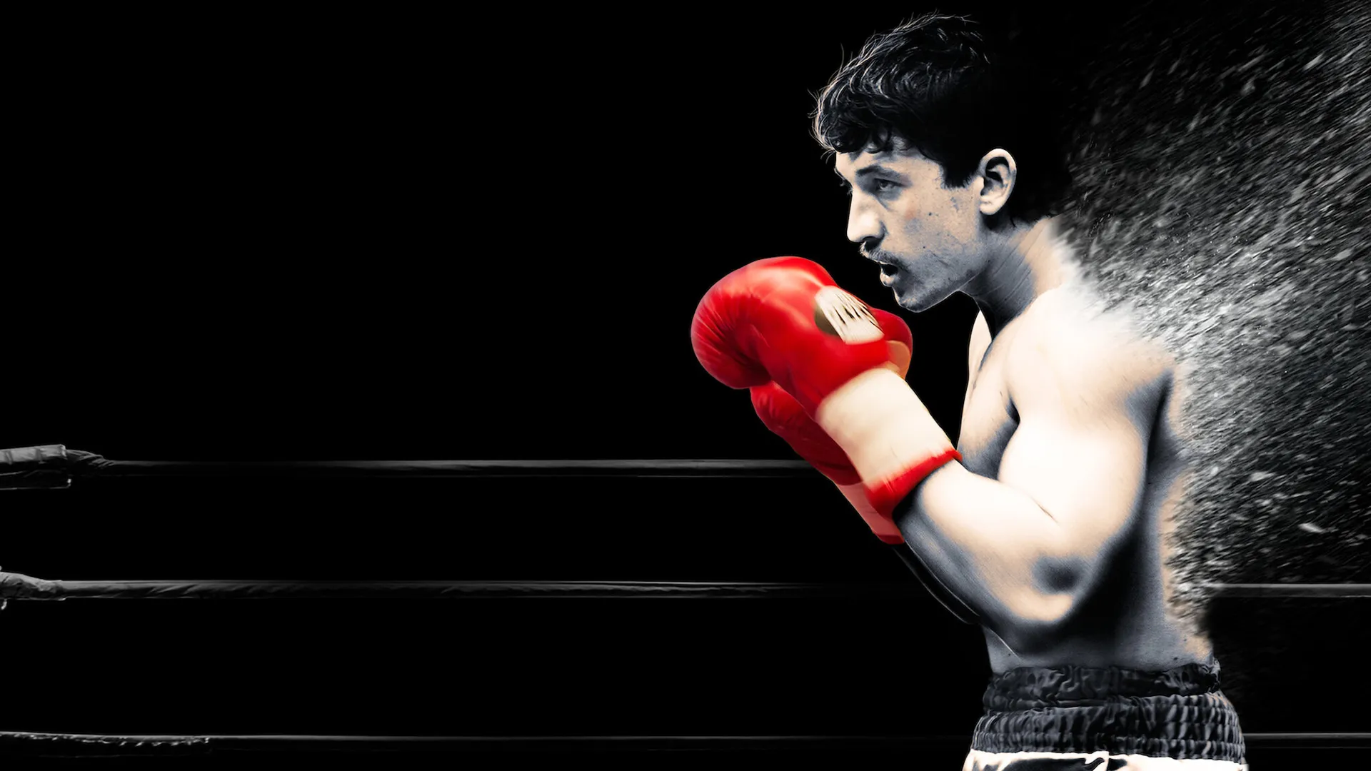 Bleed For This