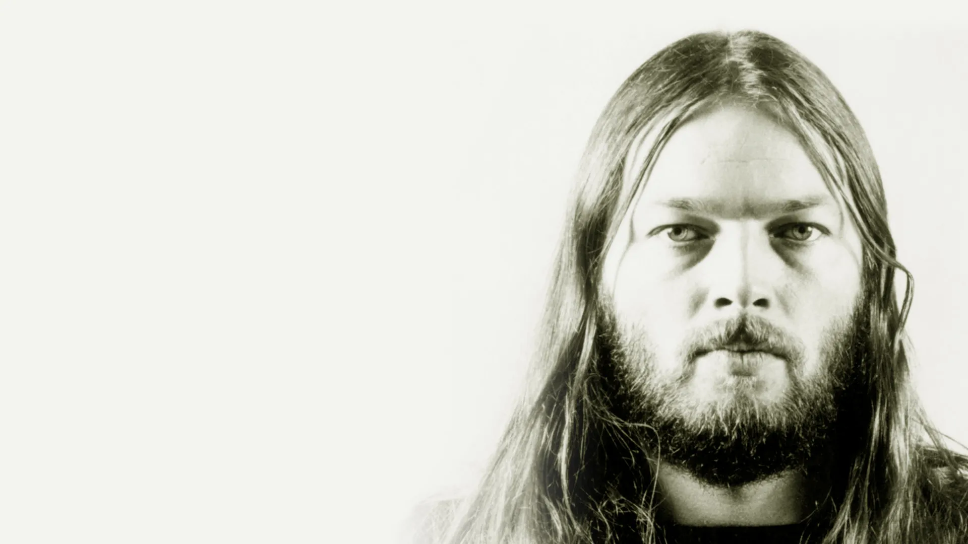 David Gilmour: IP