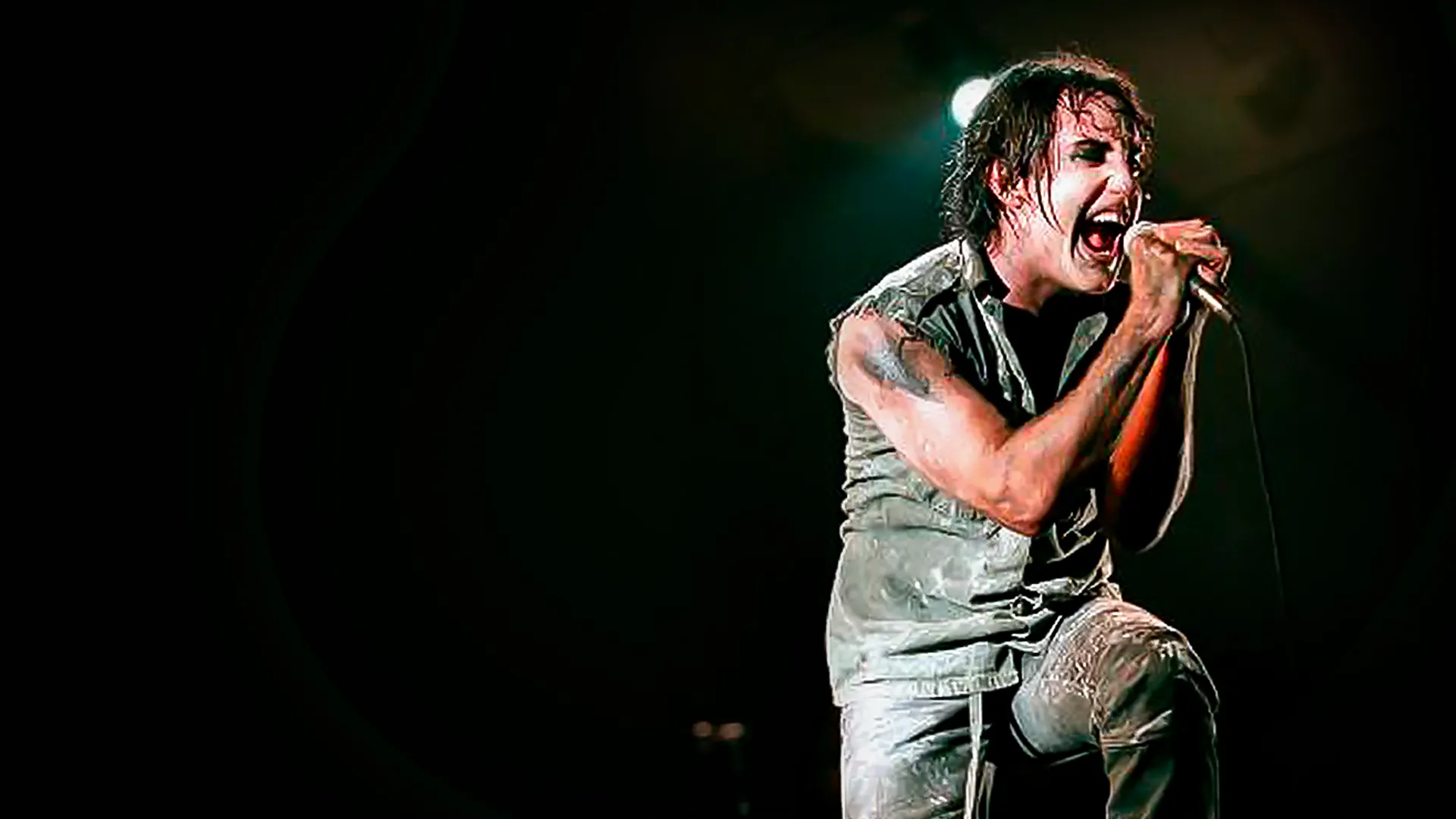 Nine Inch Nails: The Downward Spiral