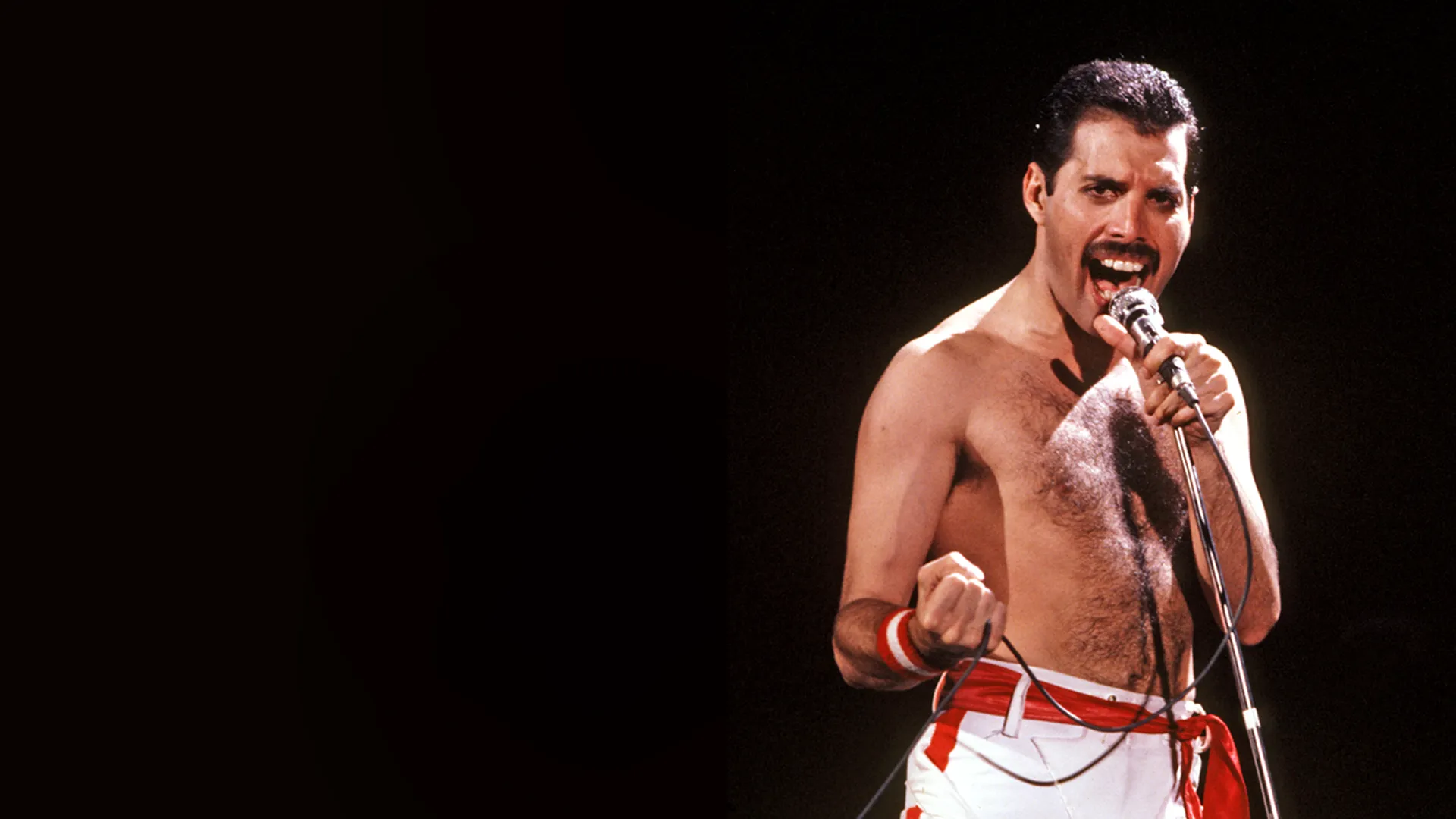 Queen: One Vision