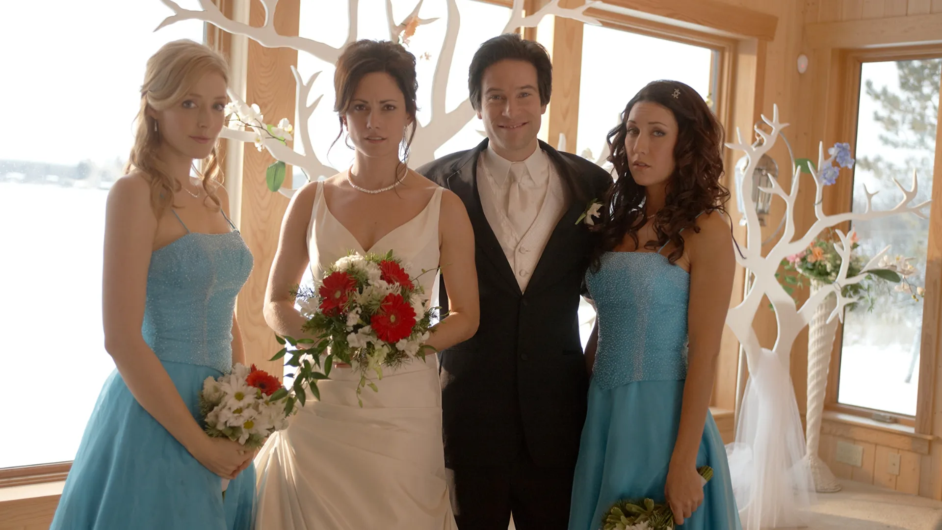 Shadow Island Mysteries: Wedding for One