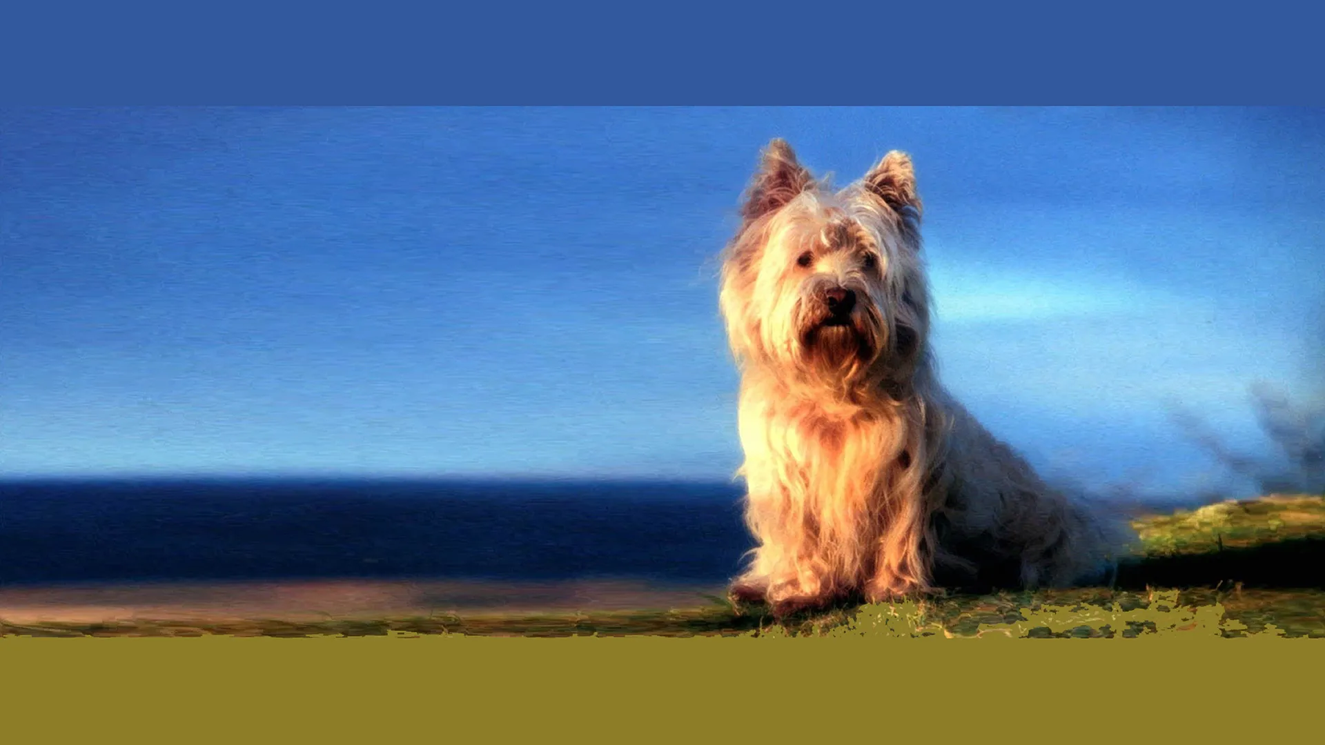 The Adventures of Greyfriars Bobby