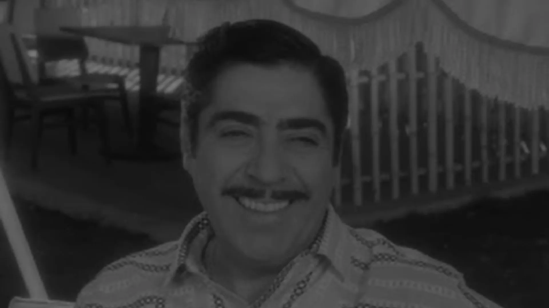 Un Gallo Con Espolones