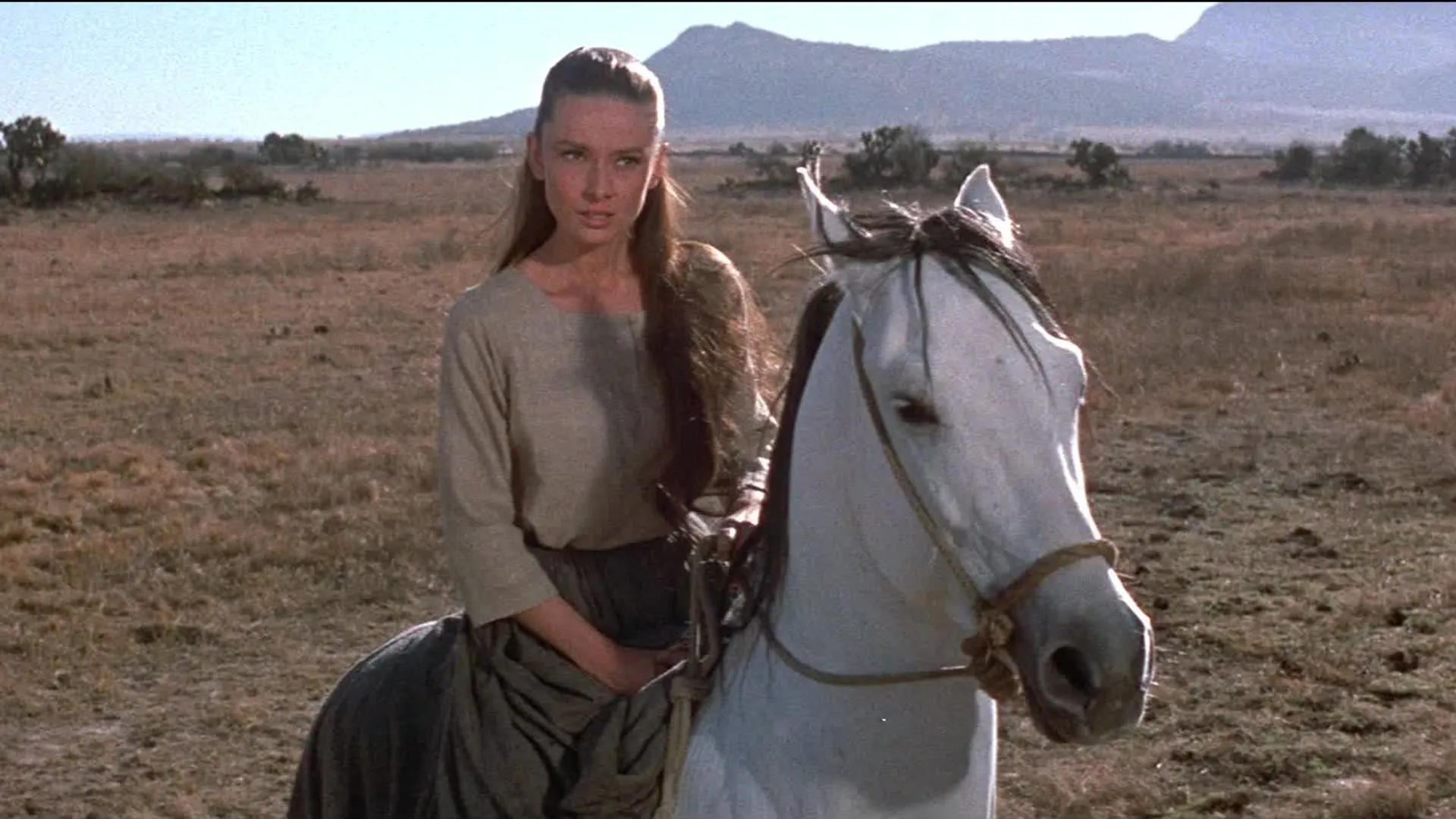 The Unforgiven