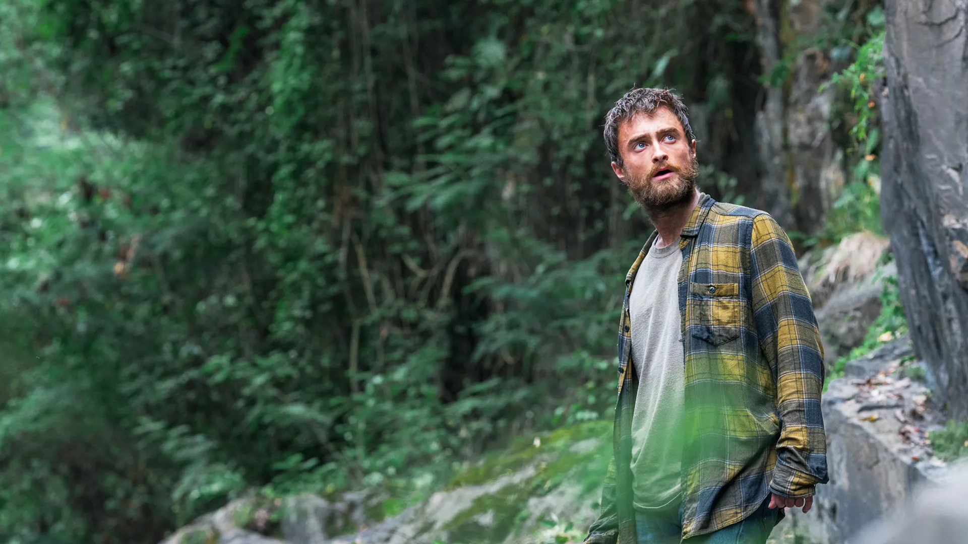 Jungle (2017)