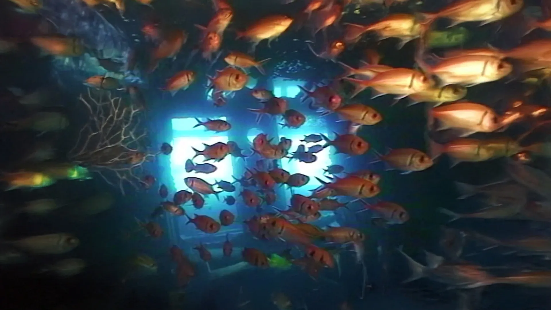 Underwater Realm