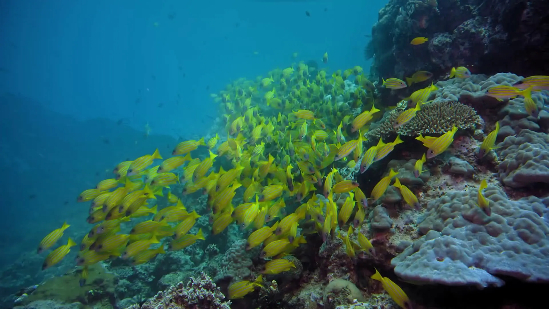 Great Barrier Reef