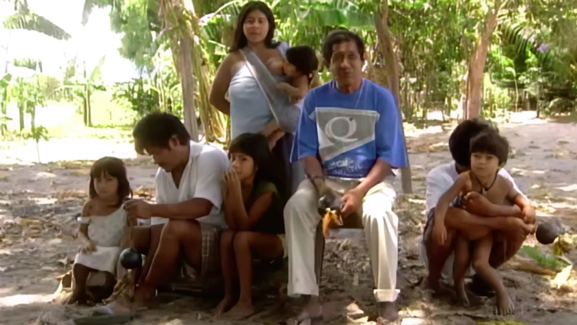 Papagaios Amarelos