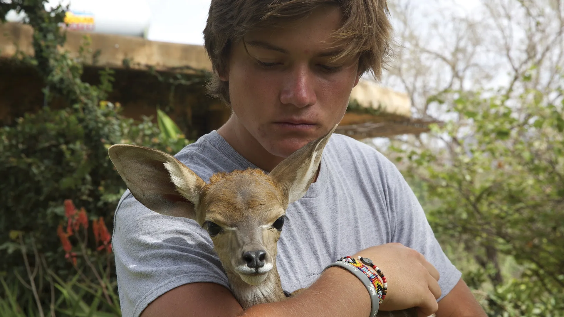 Grandir avec les animaux sauvages