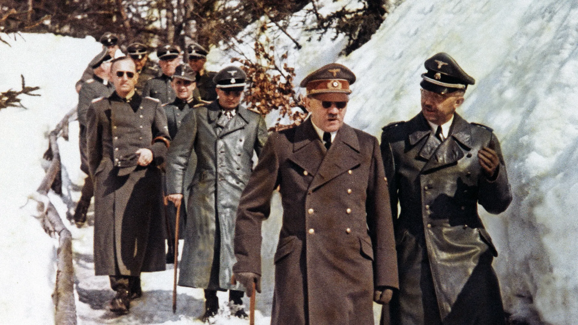 Auschwitz: The Nazis and the Final Solution