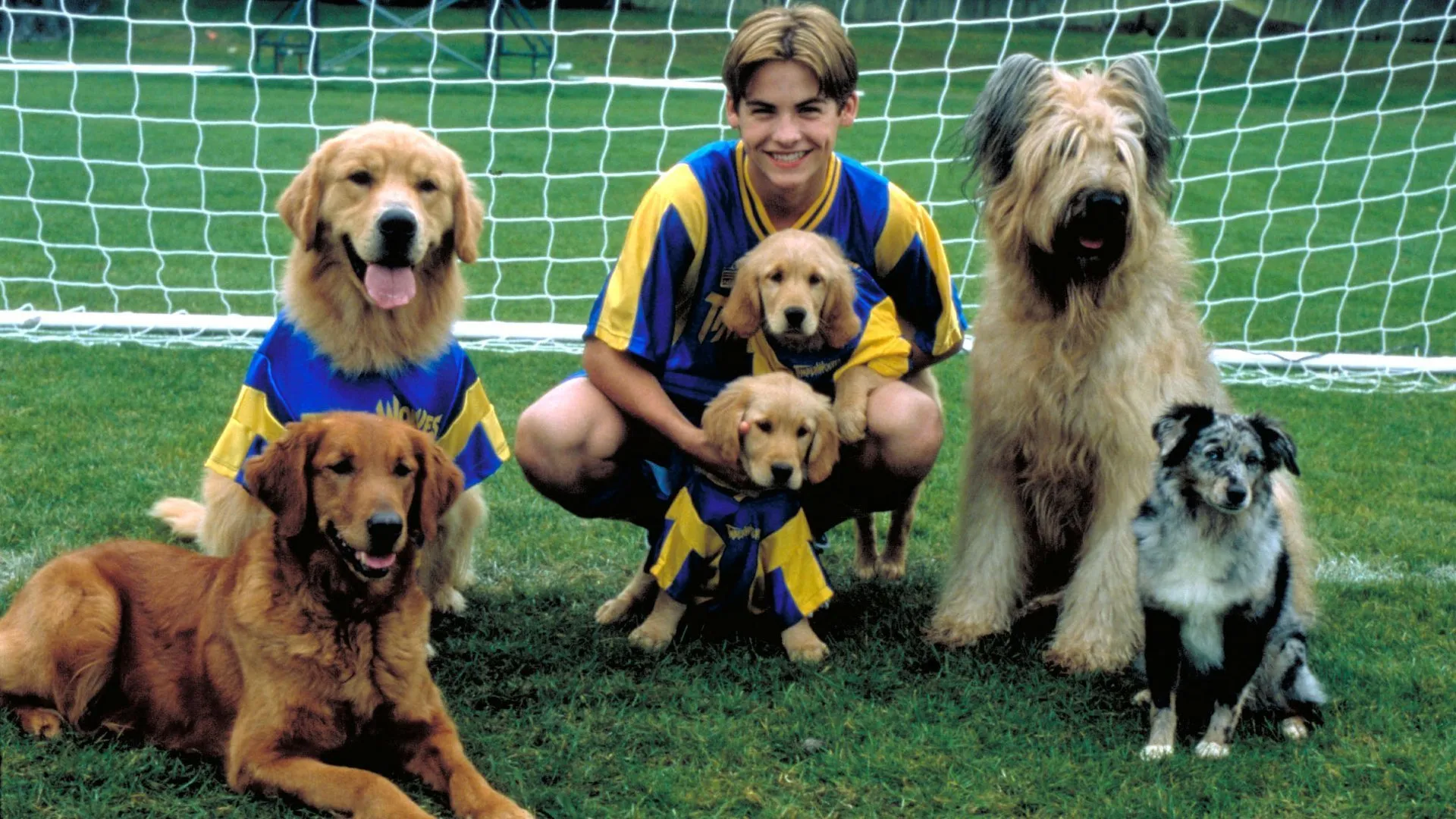 Air Bud: World Pup