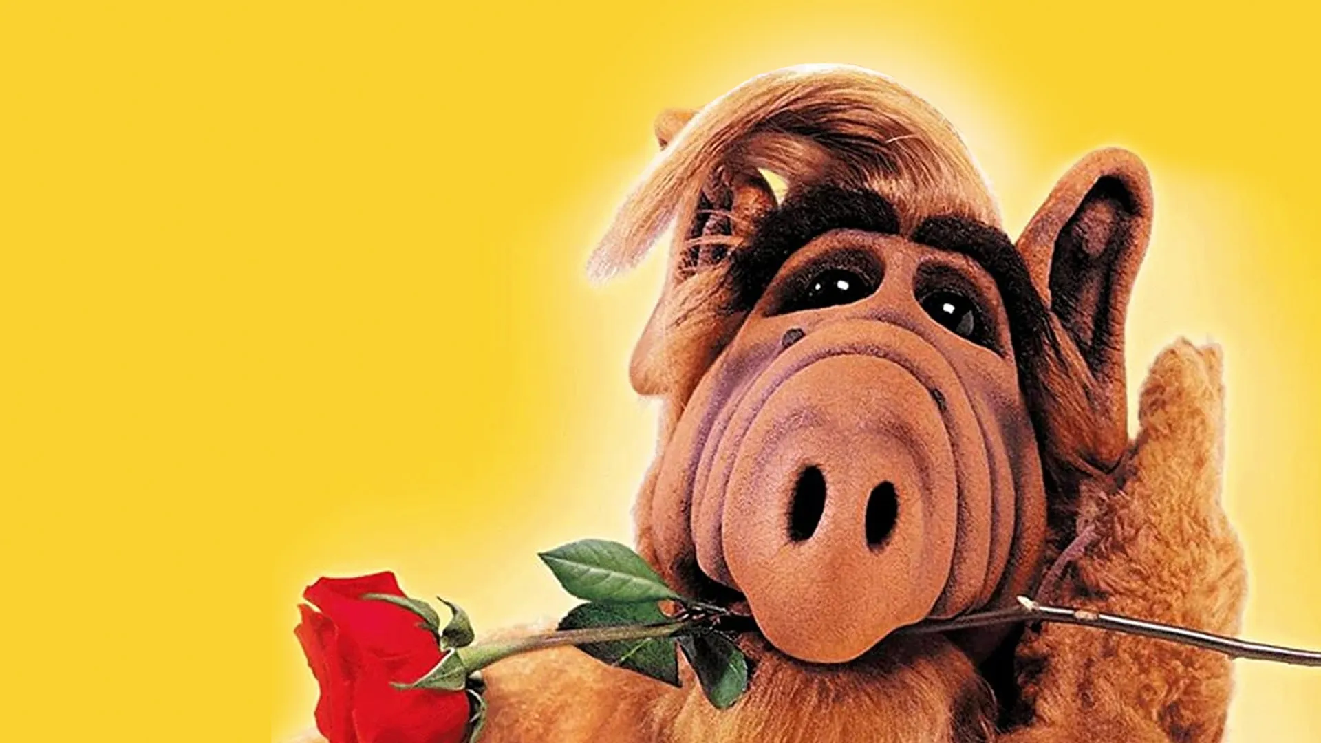 Alf Season 1
