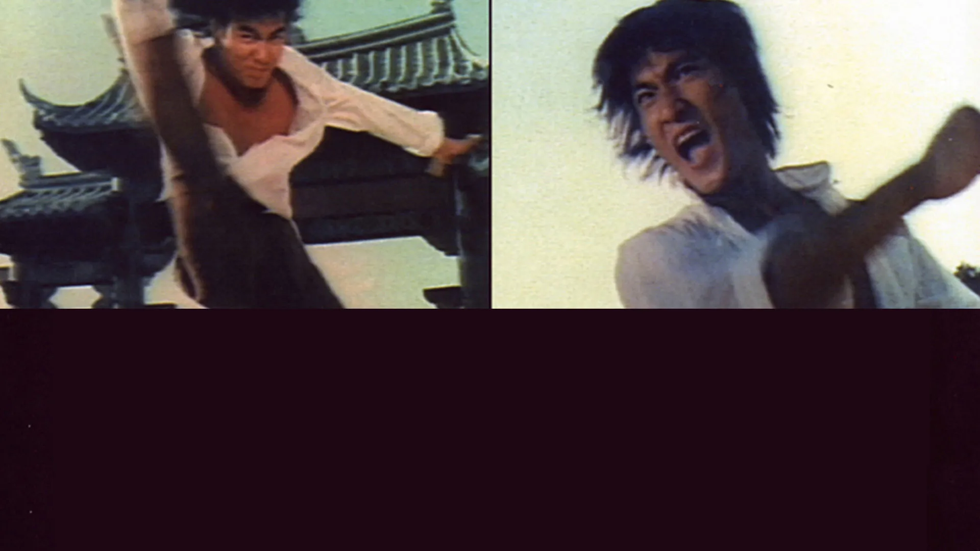 Bruce Lee: His Last Days, His Last Nights