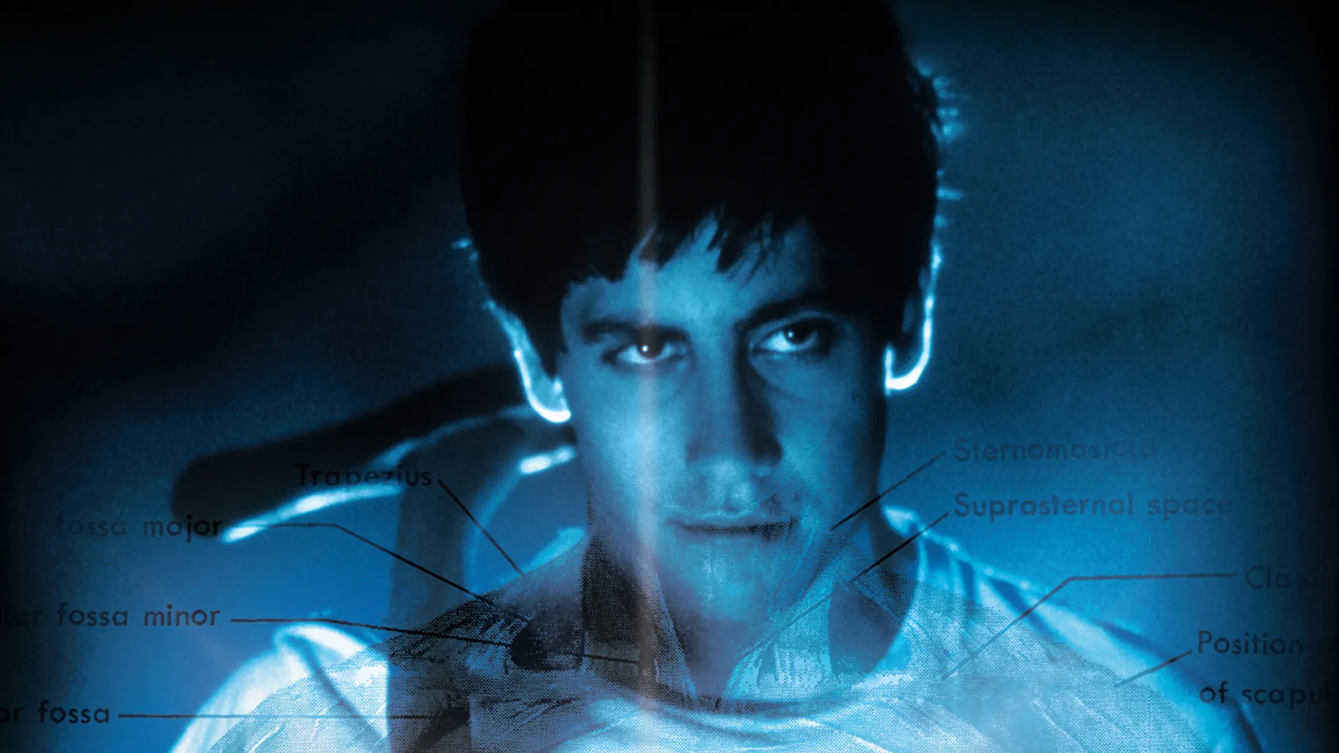 Donnie Darko (Director's Cut)