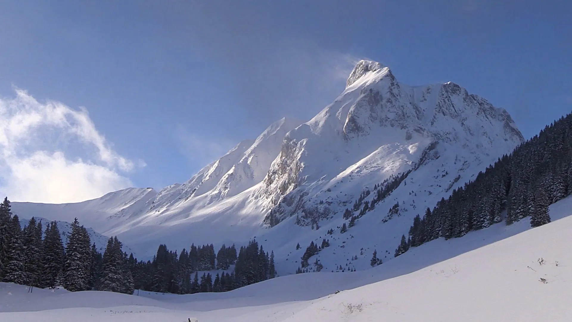 Wild Switzerland