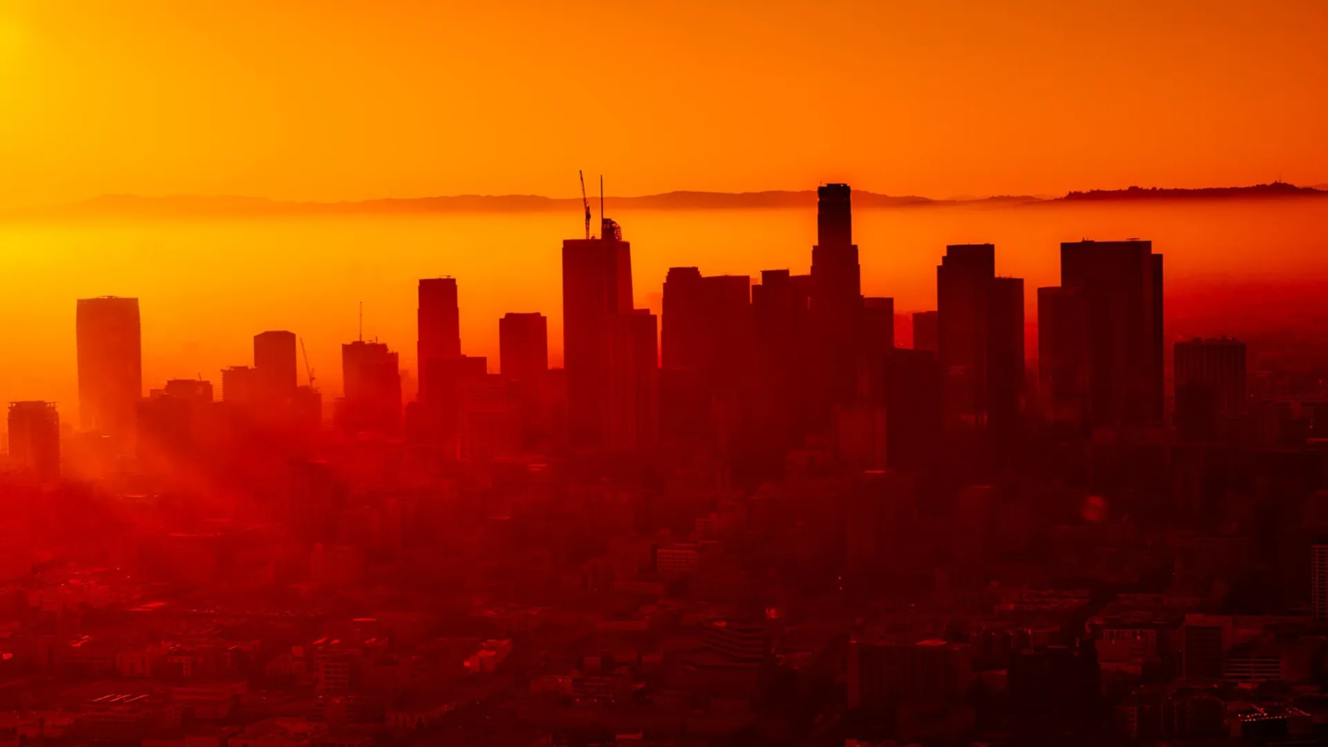 City Medical: LA