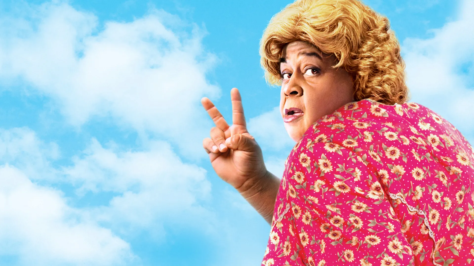 Big Momma's House 2