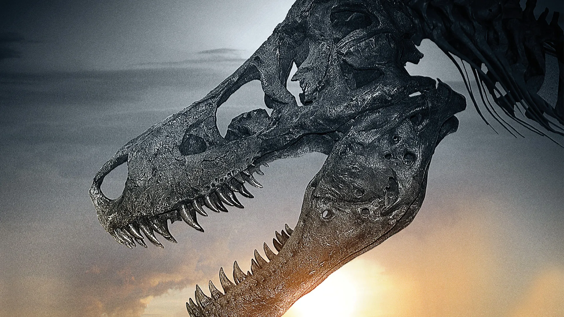 Dinosaur 13