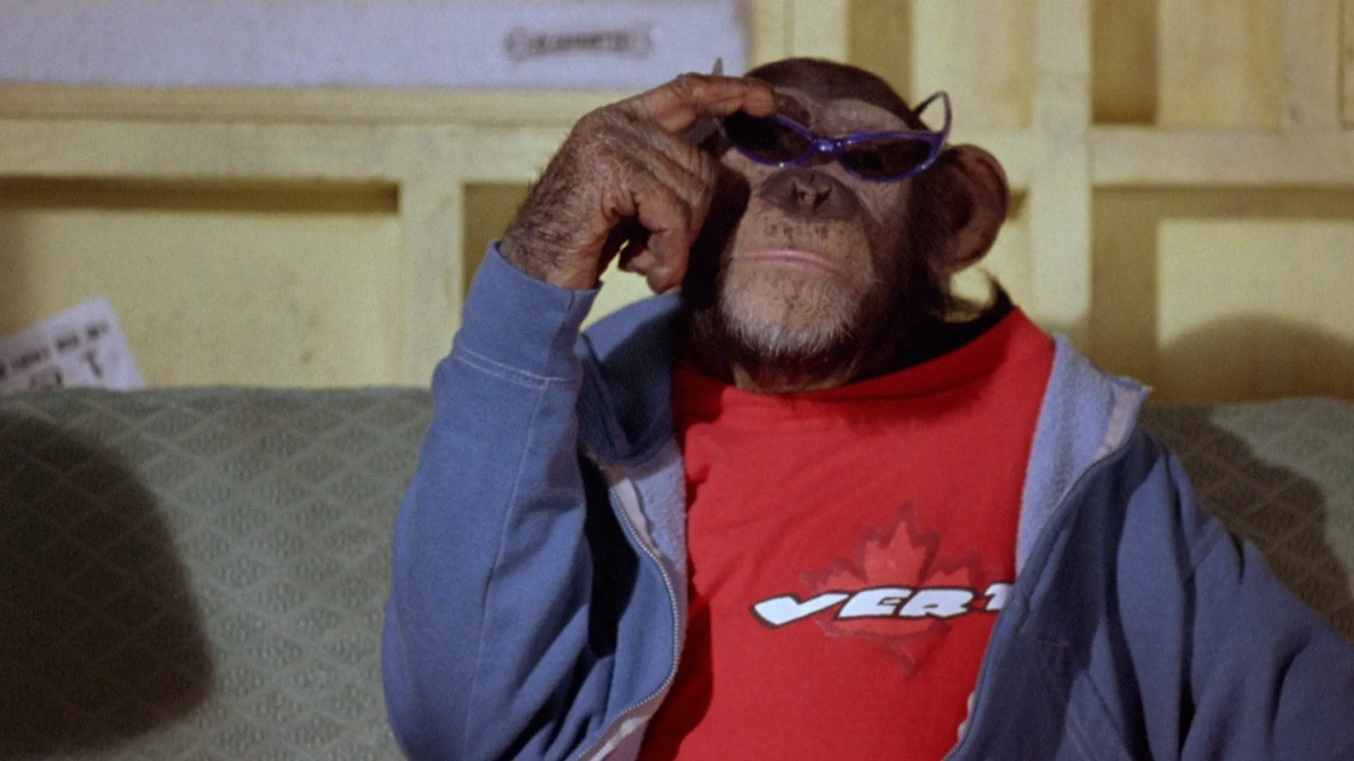MVP II: Most Vertical Primate