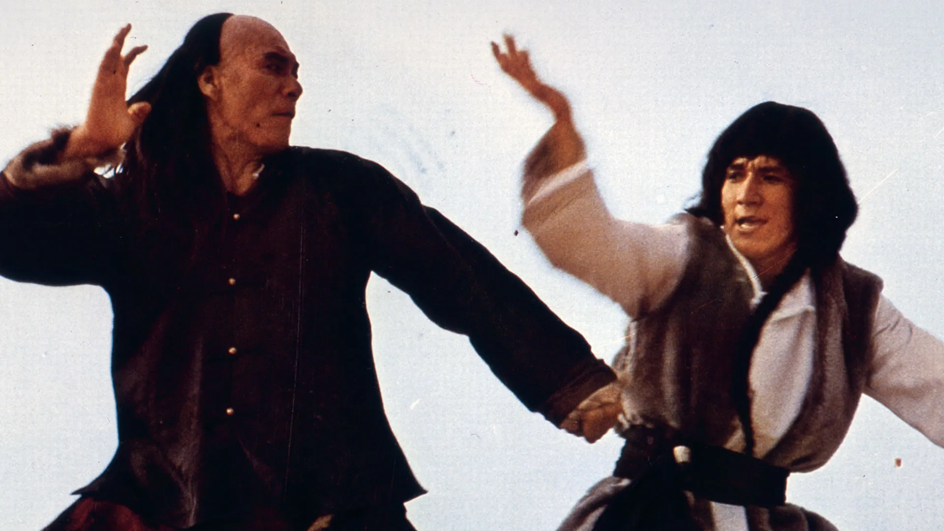 Snake & Crane Arts of Shaolin [English Subtitled]