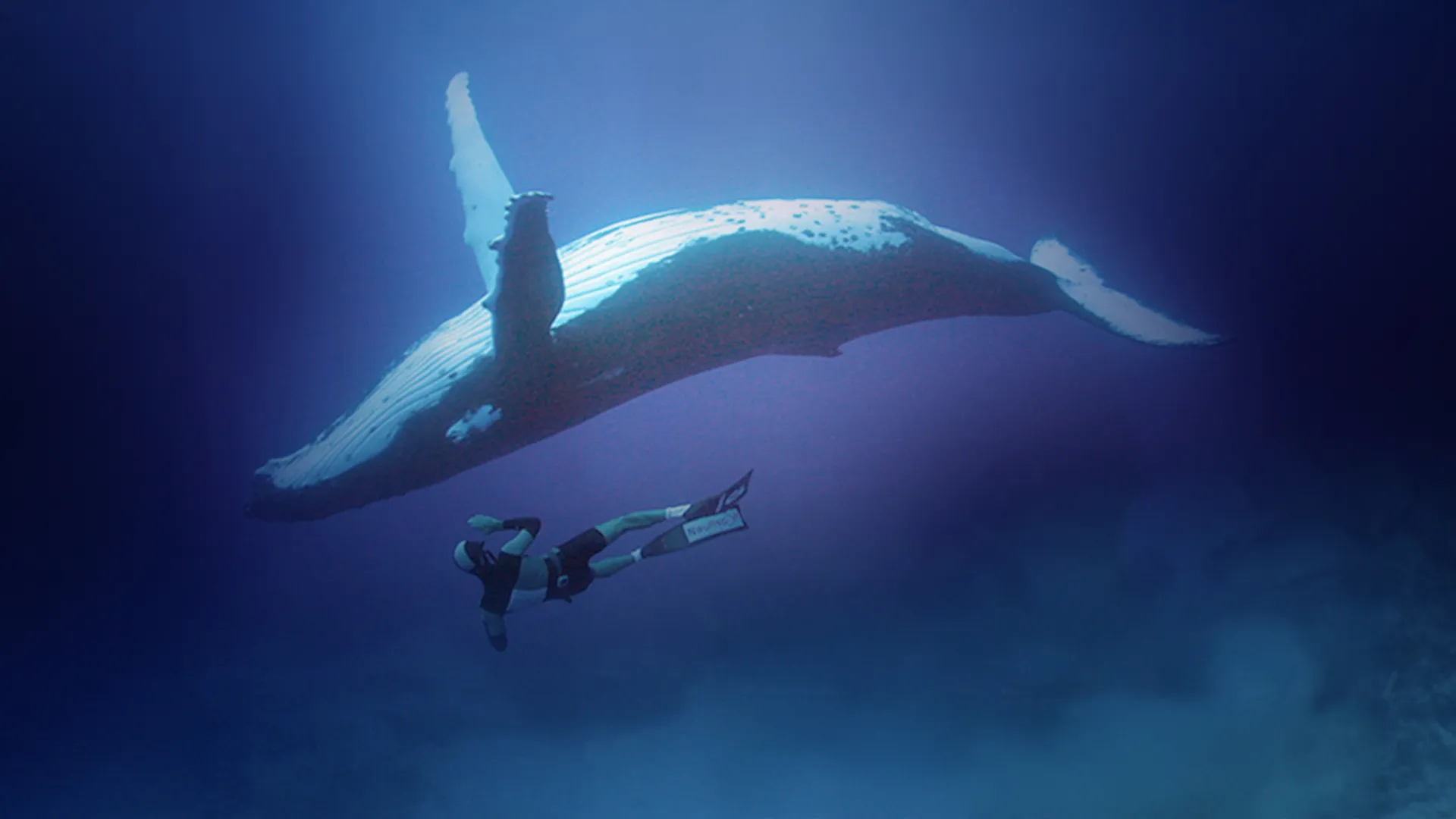 Adventure Ocean Quest - The Giants Of Rurutu