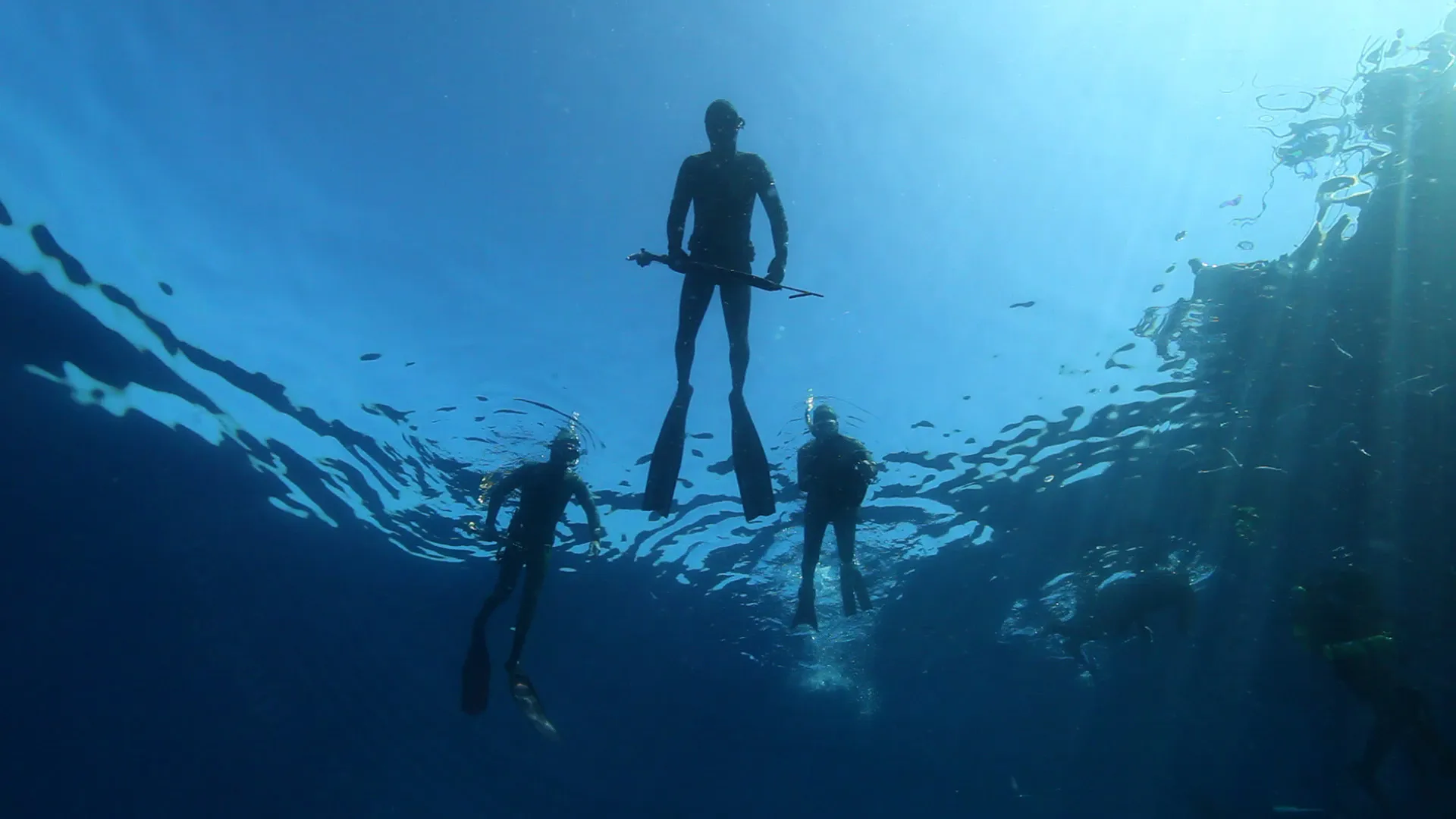 Great White Shark: Beyond The Cage Of Fear