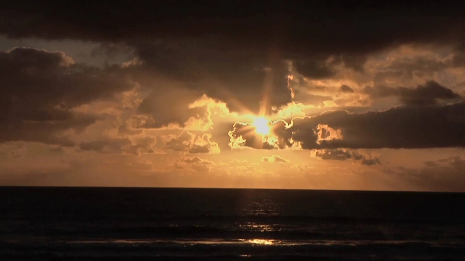 Miracles of Nature