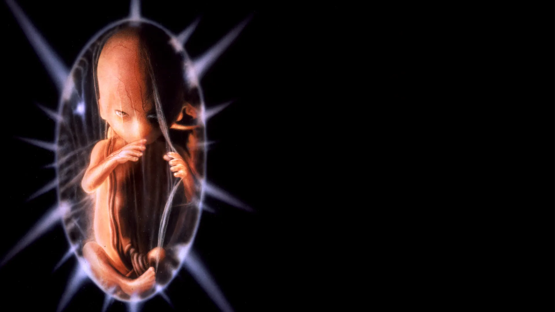 The Unborn
