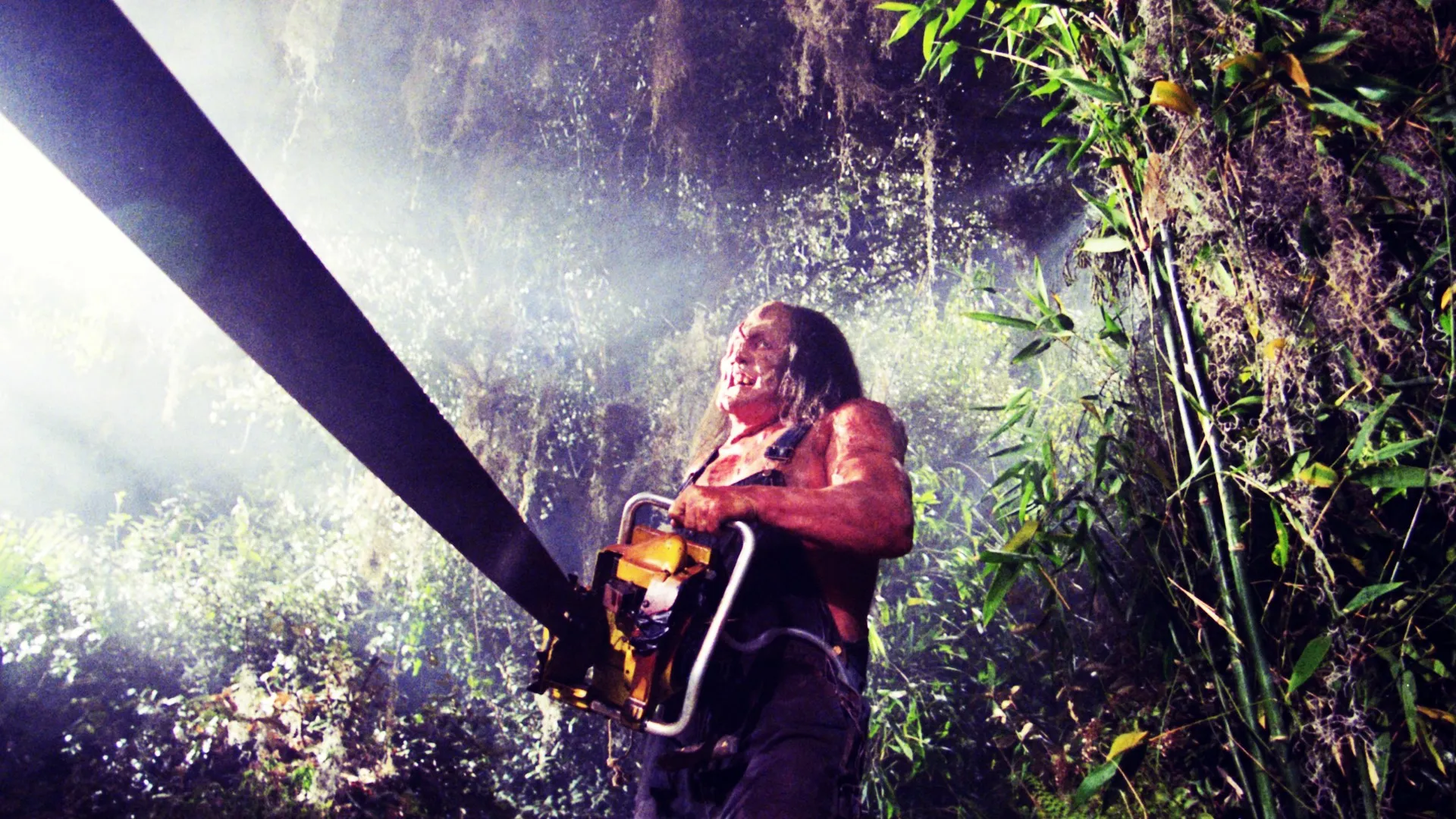 Hatchet II