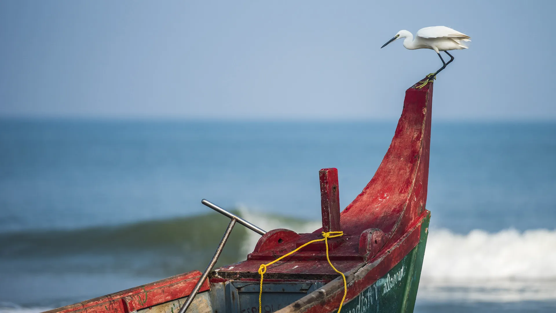 I pescatori del Bengala