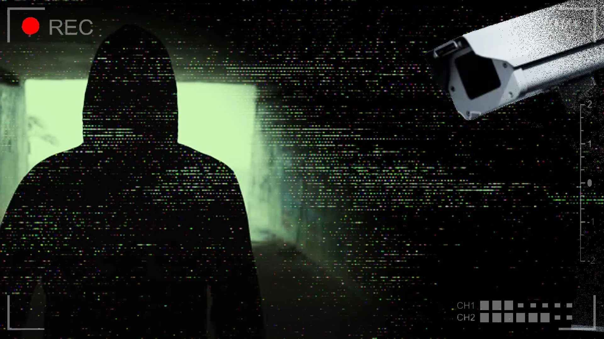 Killers: Caught on Camera