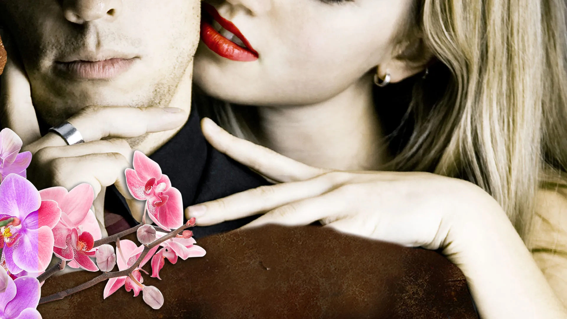 Harlequin: Treacherous Beauties