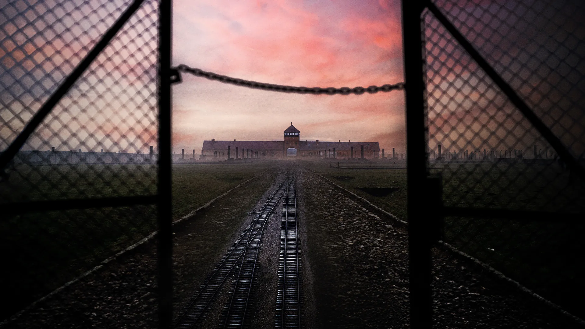 Auschwitz Countdown To Liberation