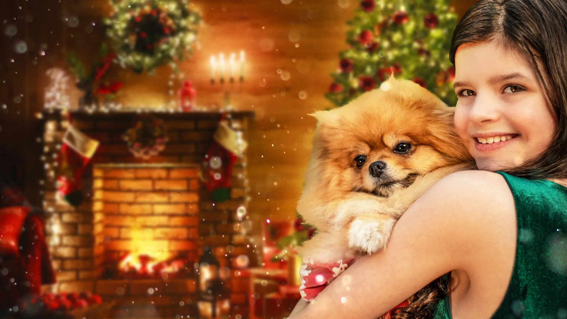 Navidad con los cachorros