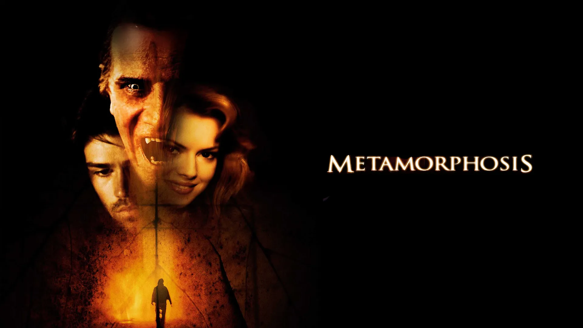 Metamorphosis