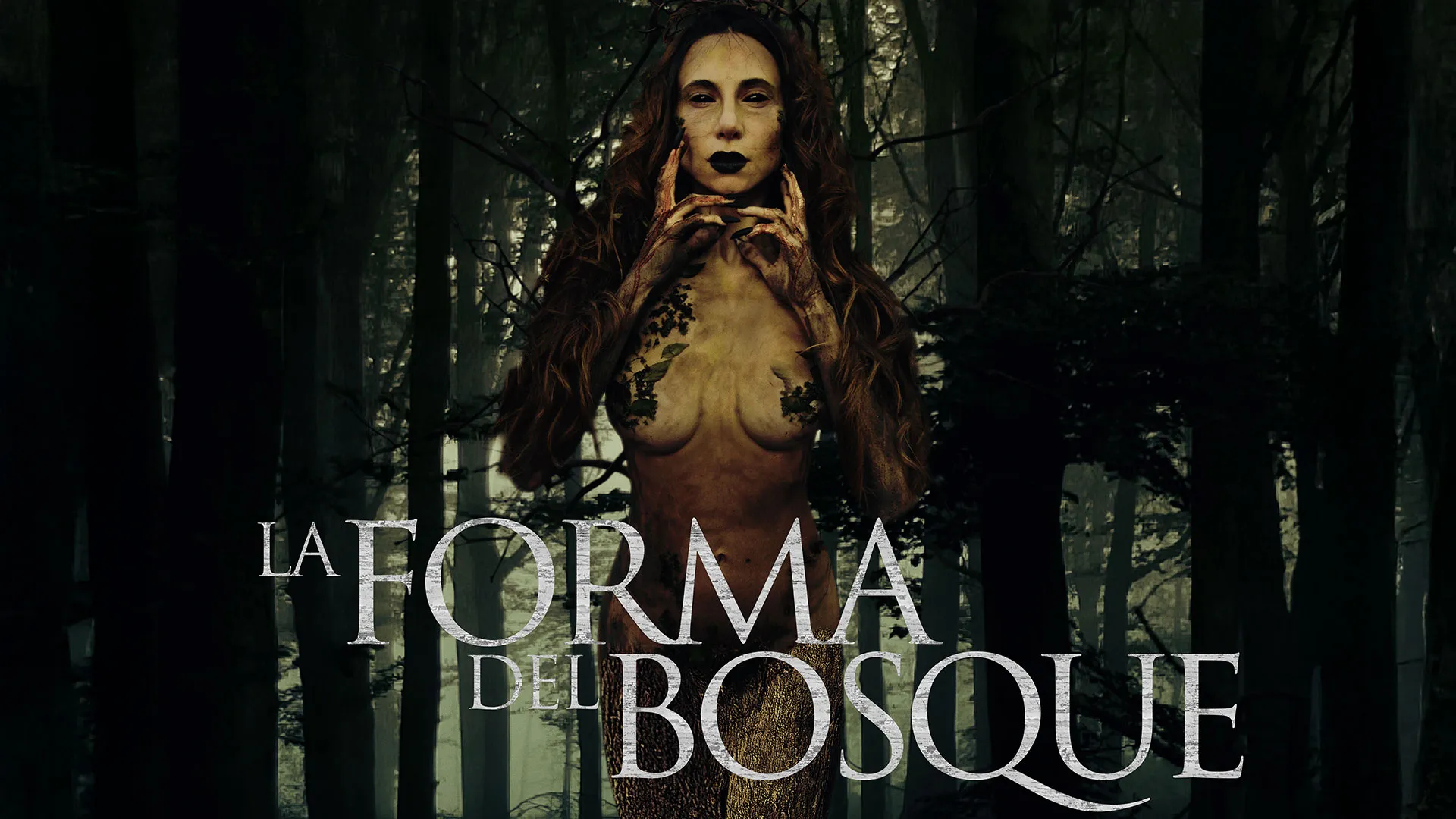 La forma del bosque