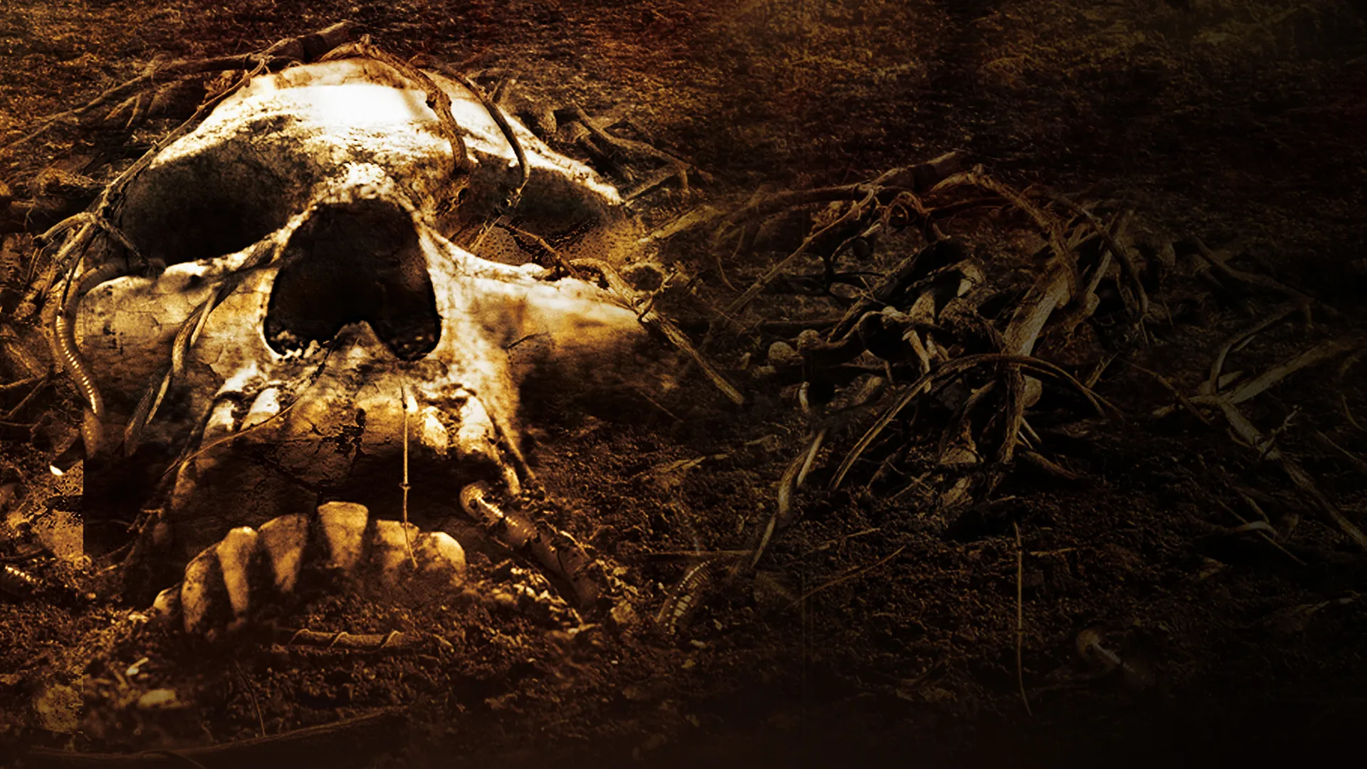 The Burrowers