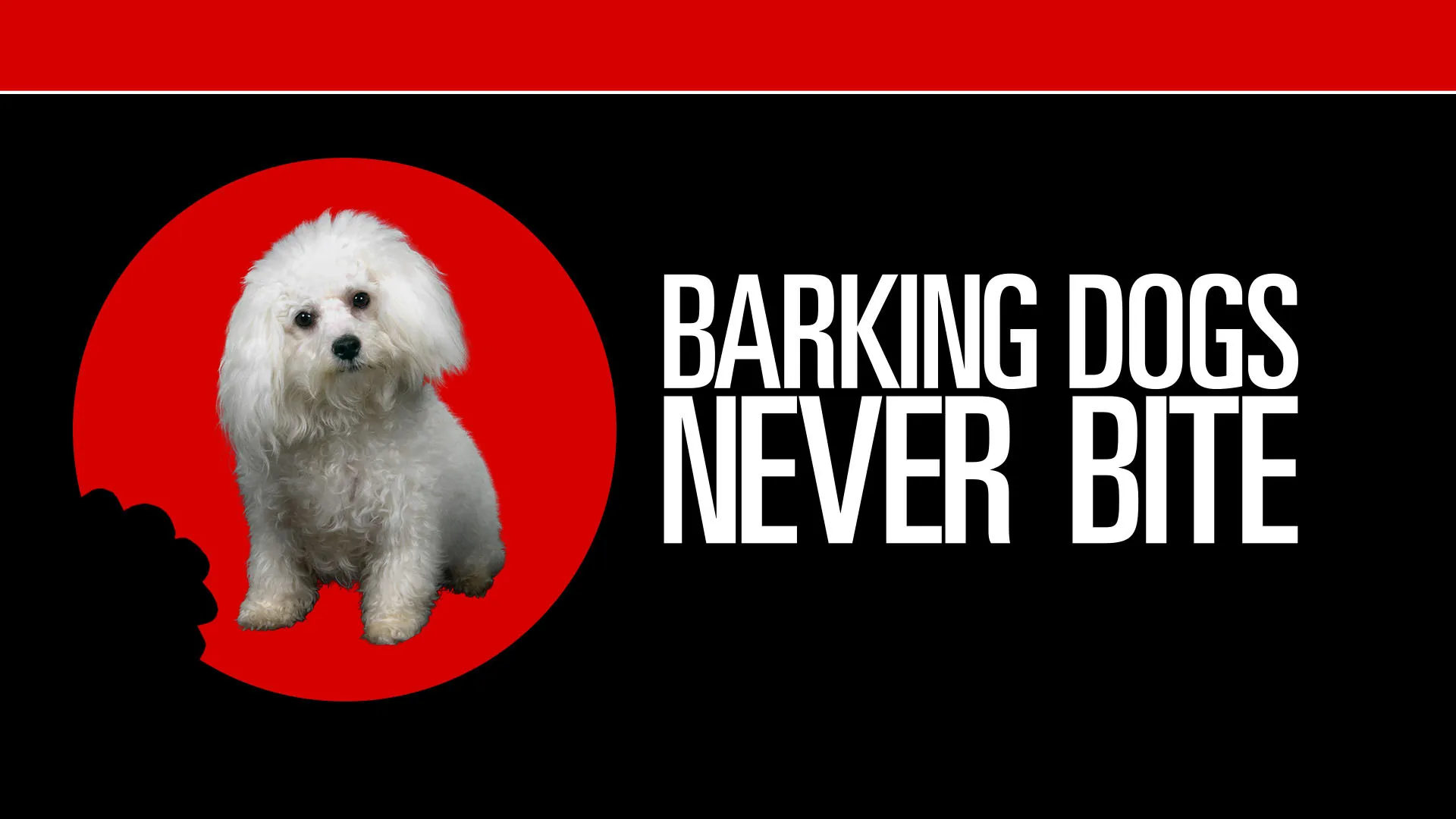 Barking Dogs Never Bite