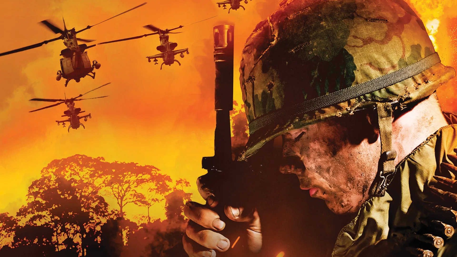 Vietnam: The Battle in the Jungle