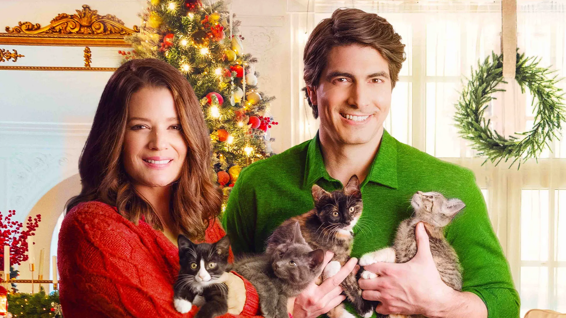 The Nine Kittens of Christmas