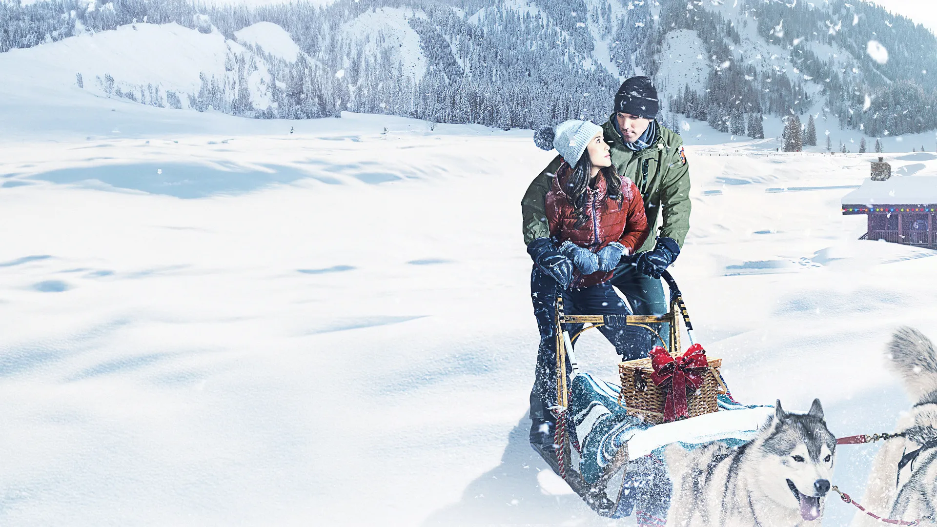 Christmas in the Wilds