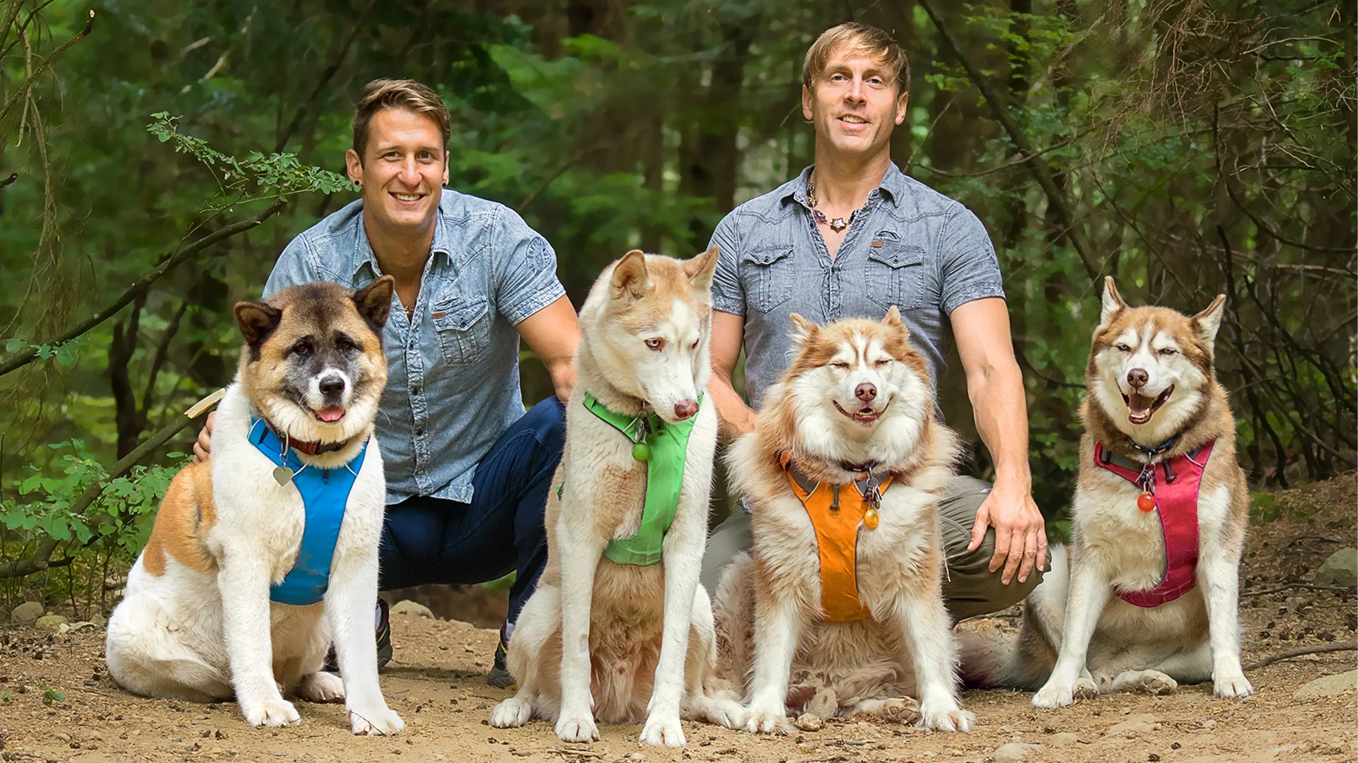 The Dog Dudes: Pack Power