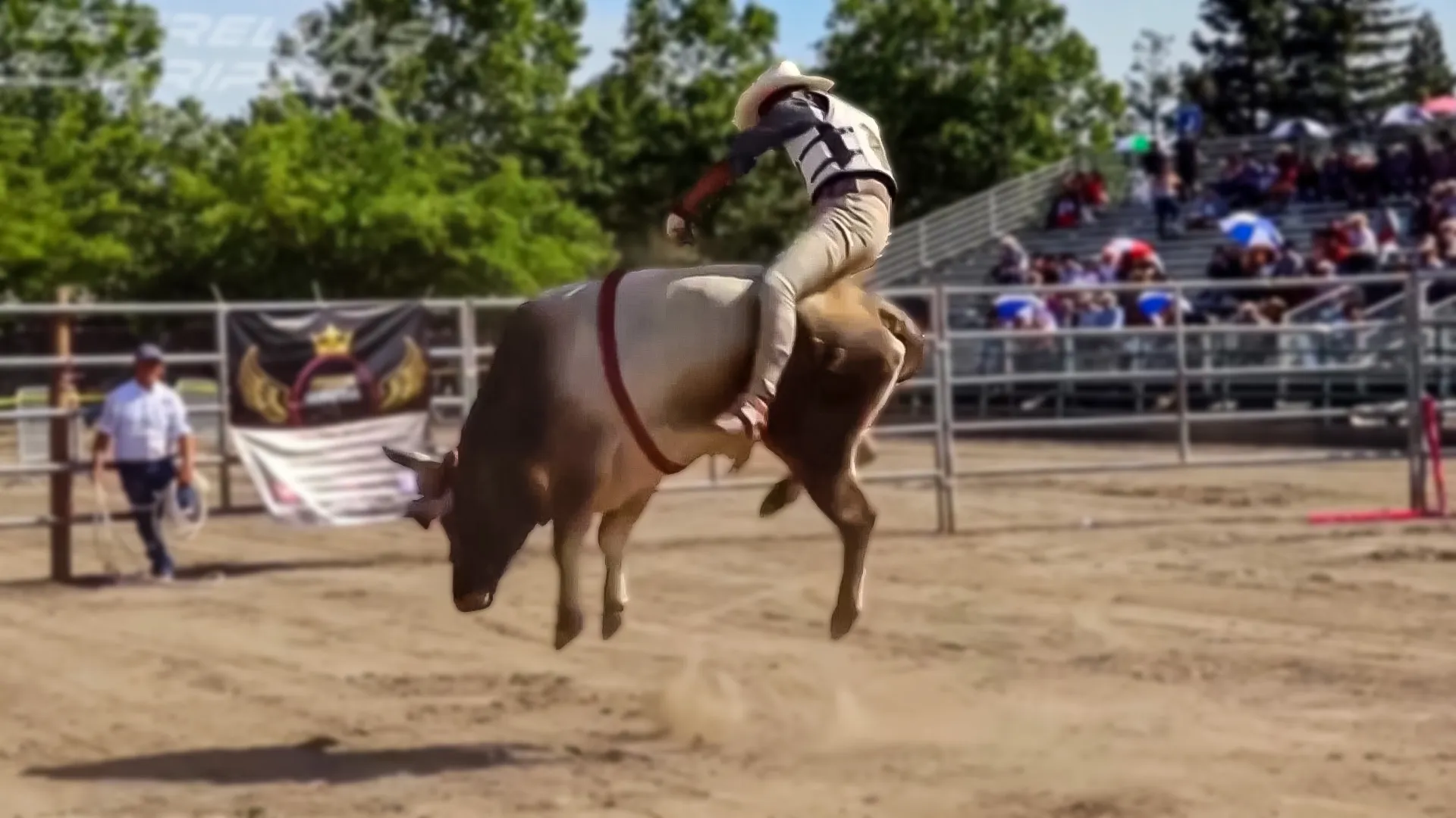 Estrellas del Jaripeo