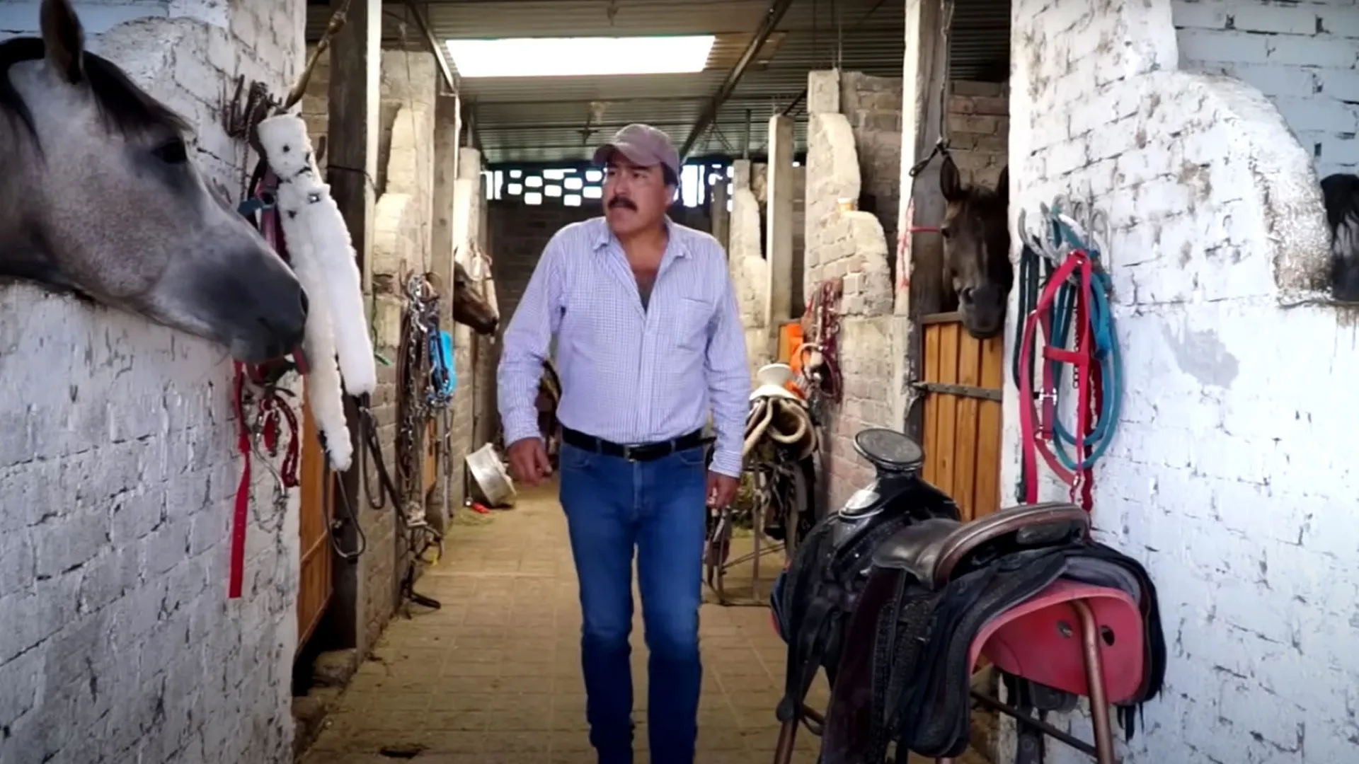 El Regreso Del Campero