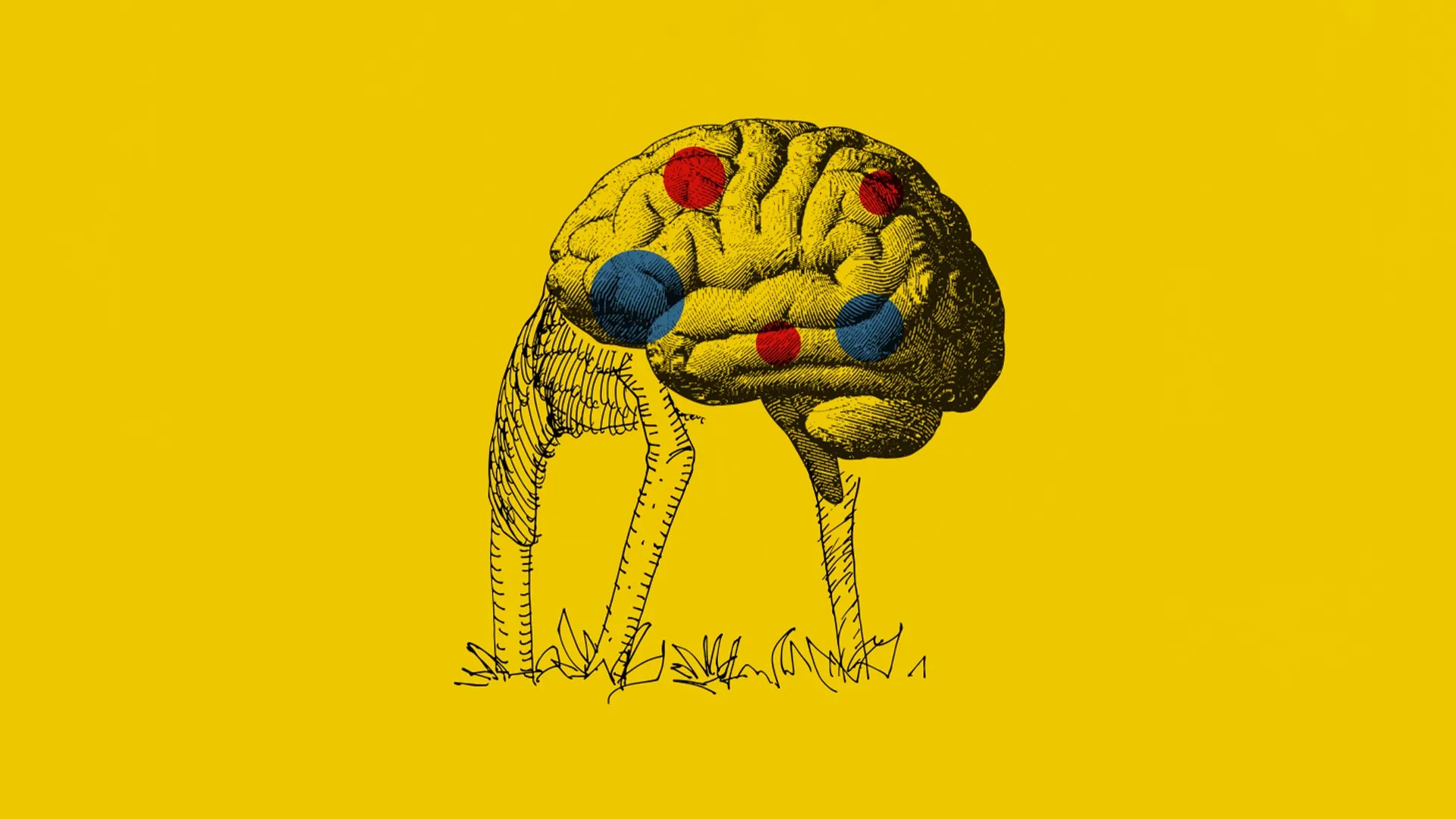 Cambio climático: la paradoja del cerebro