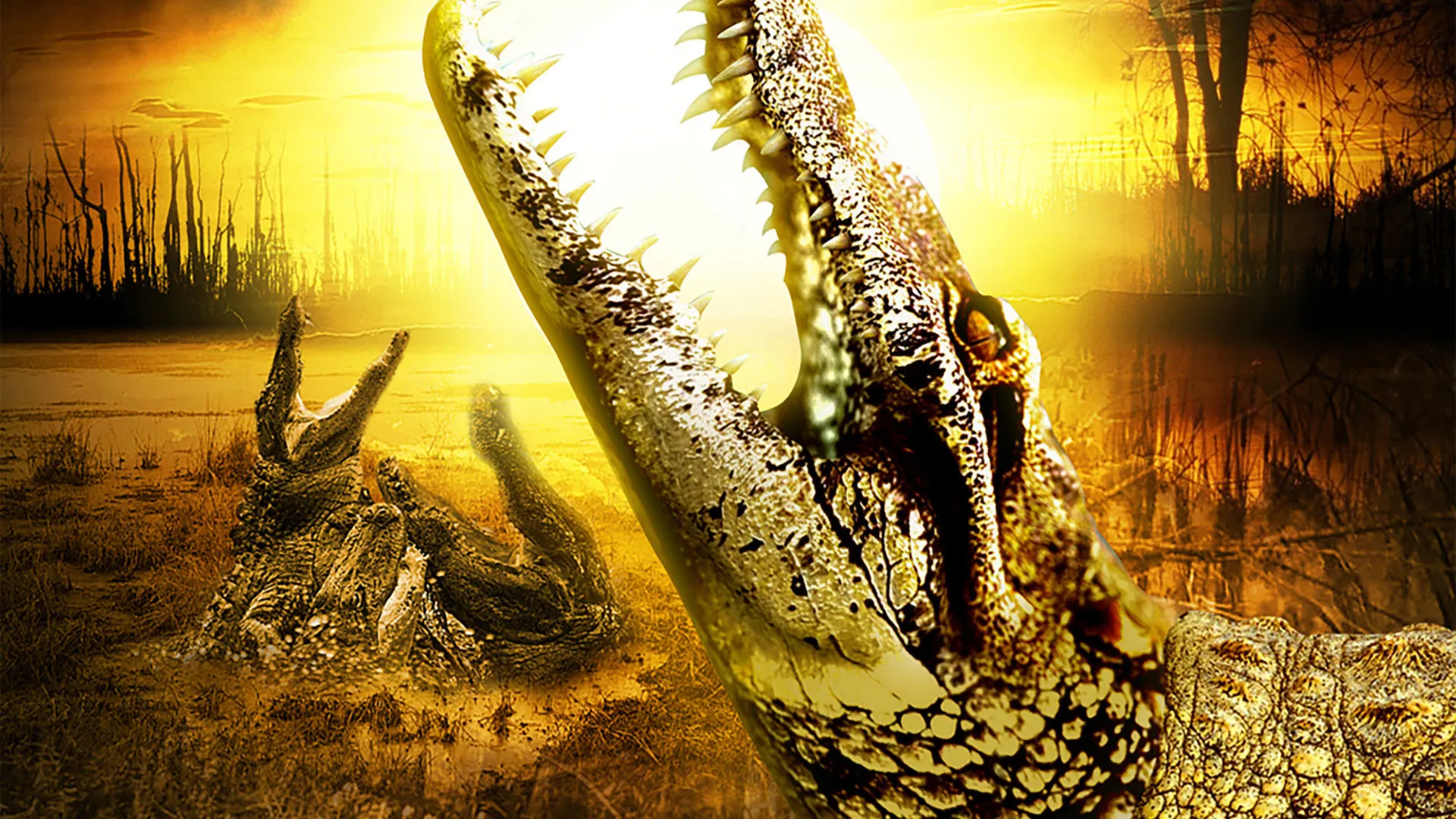 Alligator Alley